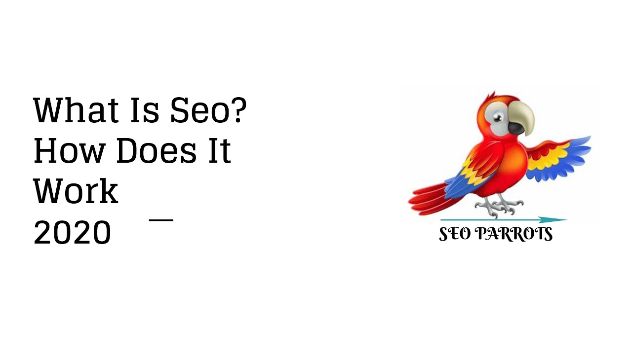 What is SEO and How Does it Work in 2020  - SEO Parrots