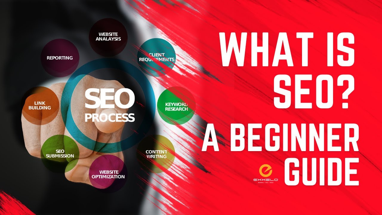 What is SEO? Types and Importance. For Beginners Guide 2021